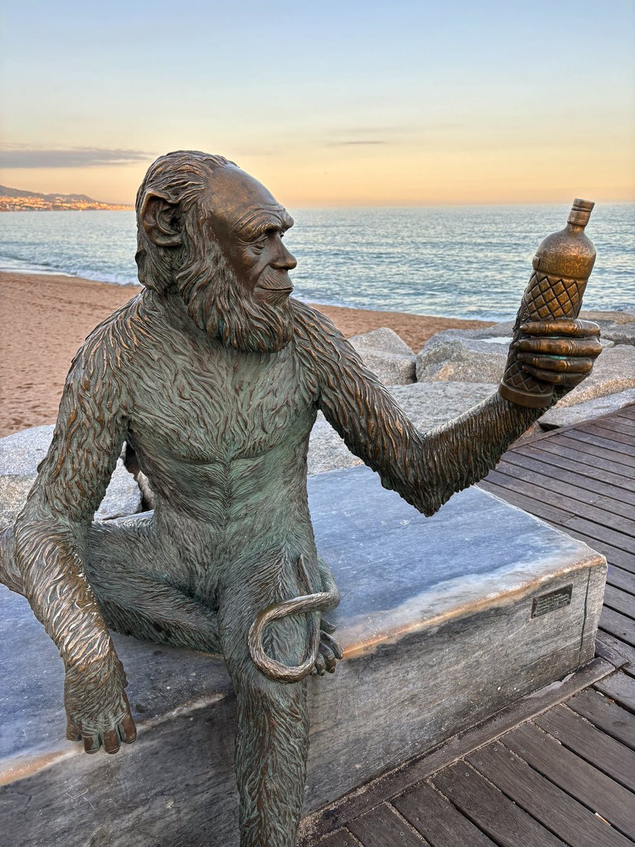 En 1870, el licor Anís del Mono incluyó en su etiqueta la caricatura de Darwin. Por si quedaban dudas, lleva un cartel con la frase: "Es el mejor, la ciencia lo dijo y yo no miento". #badalona #anis