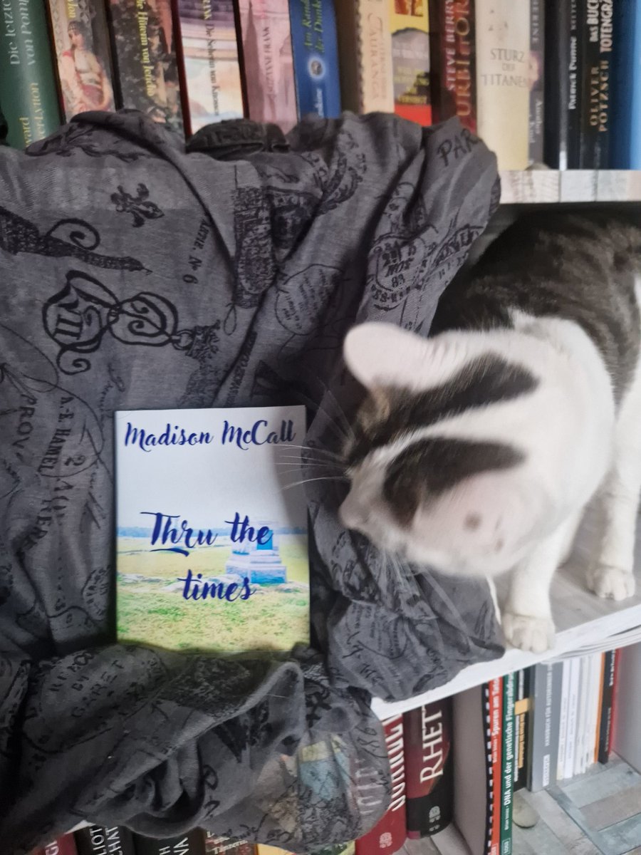M4dison95's tweet photo. It's done! Releaseday! Ab sofort ist "Thru the times" bei epubli &amp; in den nächsten Tagen in jedem Buchhandel als Print &amp; als E-Book bestellbar.  #Releaseday #Debütroman #Romantasy #Fantasyroman #Urbanfantasy #RitterLancelot #Pseudohistorisch #HelenaBenson #Thruthetimes https://t.co/holRZ2aKZW