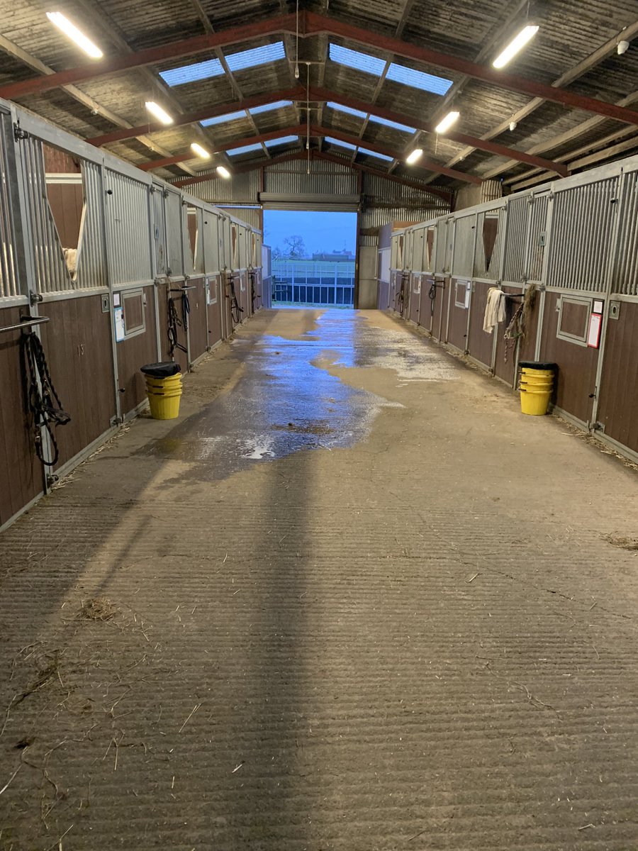 Hopefully a quieter night tonight after 4 foals arriving last night! 😴😴