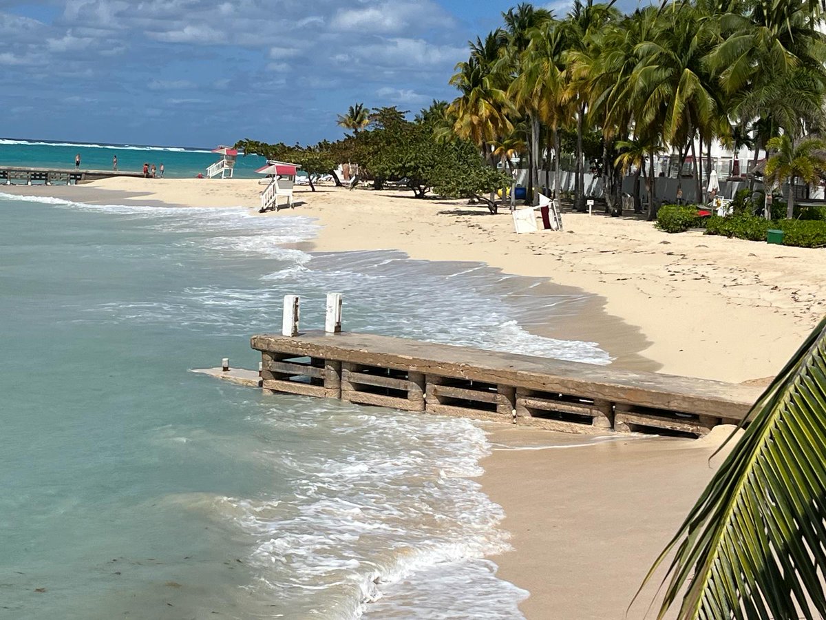 The recent cold front shifted the sand again at Doctor's Cave. Is the damage below the waves irreparable? marogkingdom.blogspot.com/2024/02/shifti…… <a href="/ccrpjamaica/">CCRP</a> <a href="/Paulaanneja/">Paula-Anne Porter J</a> @brainchilder1 <a href="/PamelaKWitte/">Pamela  K Witte</a> <a href="/JoanneGJohnson/">JoanneGJohnson</a>