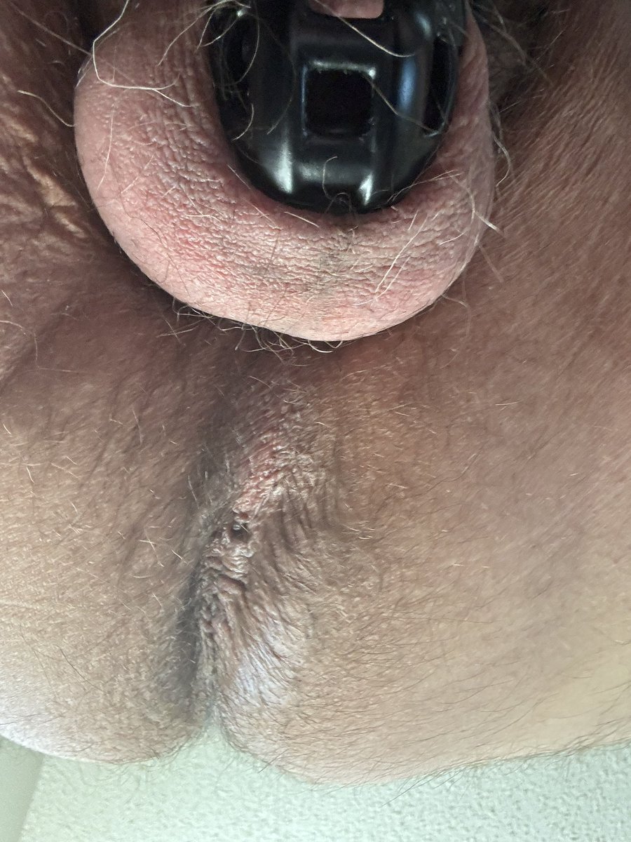 Pup needs to stretch his hole.  Look at that locked little nub.  Straining to get out