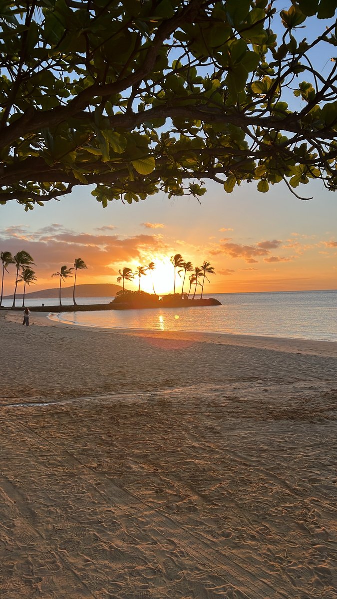 Beautiful sunrise at High Risk Hawaii!