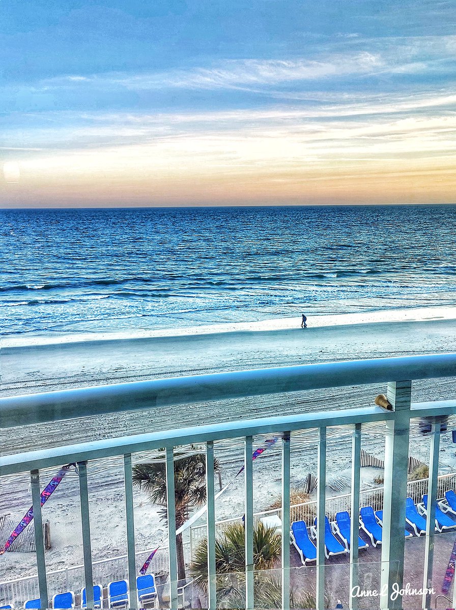 Above the fray...
#saltlife #beachlove