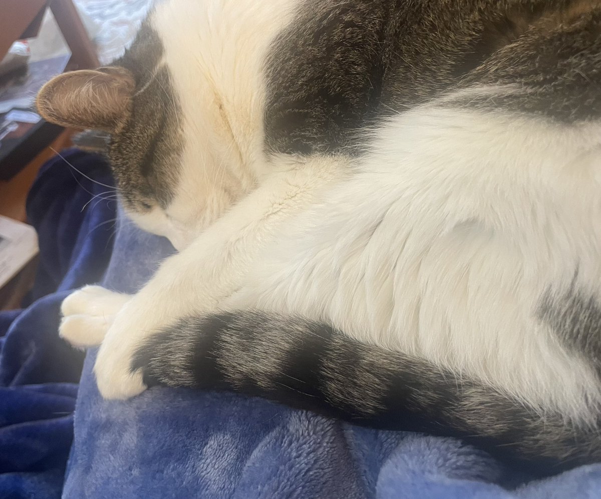 Having this handsome baby constantly by my side takes the sting out of being really sick.