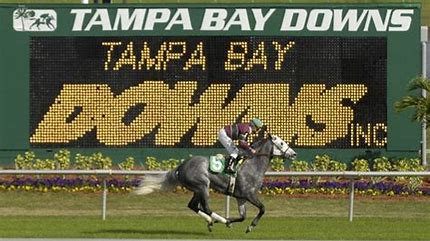 AmWager's tweet image. Play @TampaBayDownsFl now, coming up is the Pick 3 and PIck 4 sequence starting with the third race. Sin in, or sign up to AmWager.com, it's easy and it's FREE! #Tampabaydowns #freesignup 🌴🆓🏇