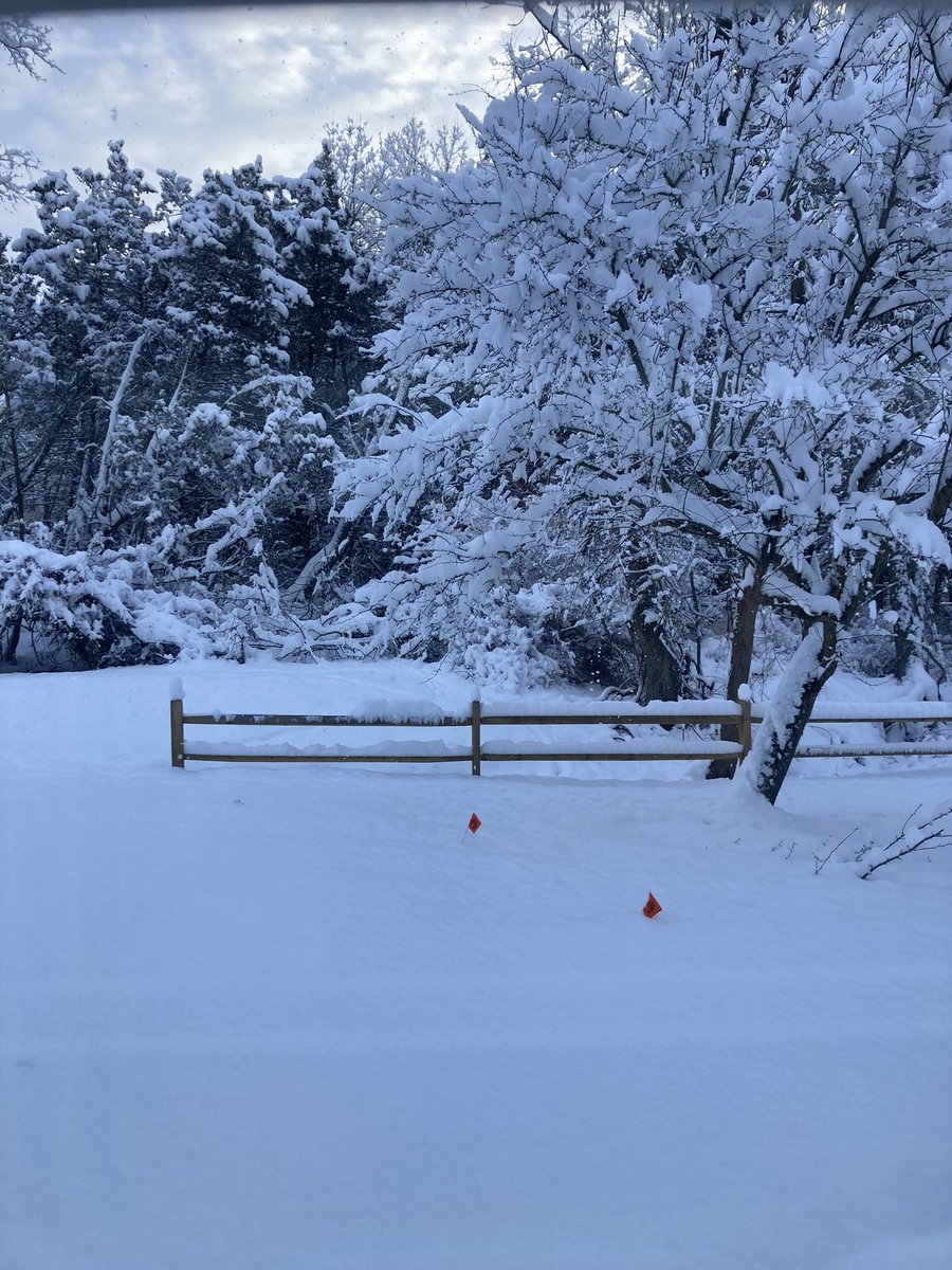 WheelAM6's tweet image. Sweet silent thought…