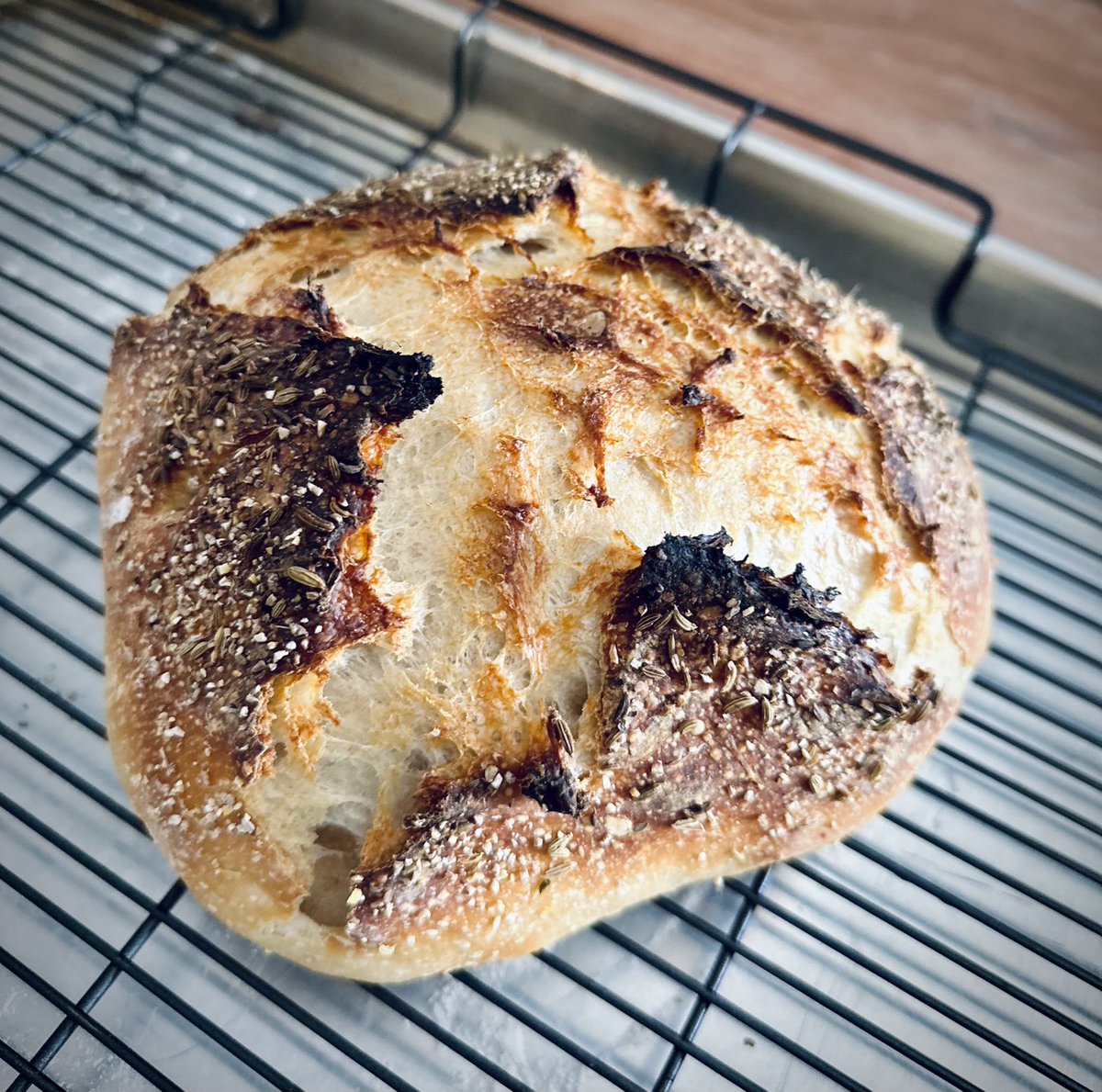 Homemade Sourdough appreciation post. ⁦@emerrill⁩