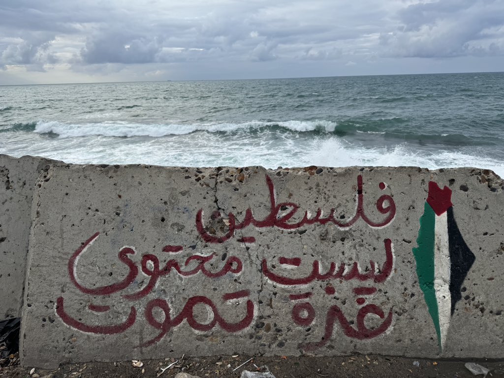 “Palestine is not [social media] content. Gaza is dying.” #Alexandria