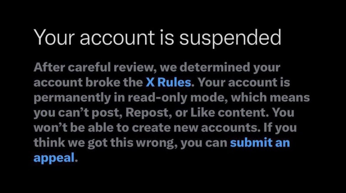 bears 🐻 tweet media