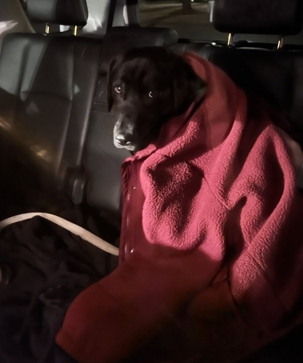 MaryHahnWard tweet media