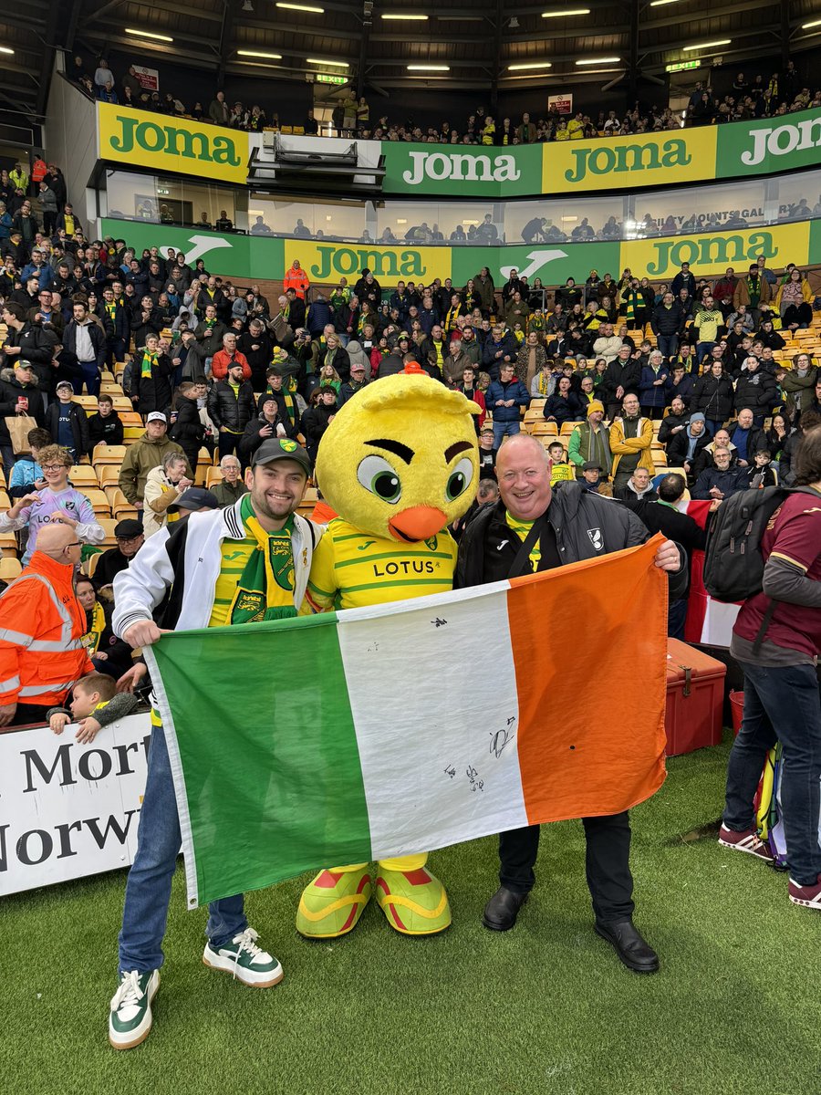 Cillian O Grady (The Flying Canary) tweet media