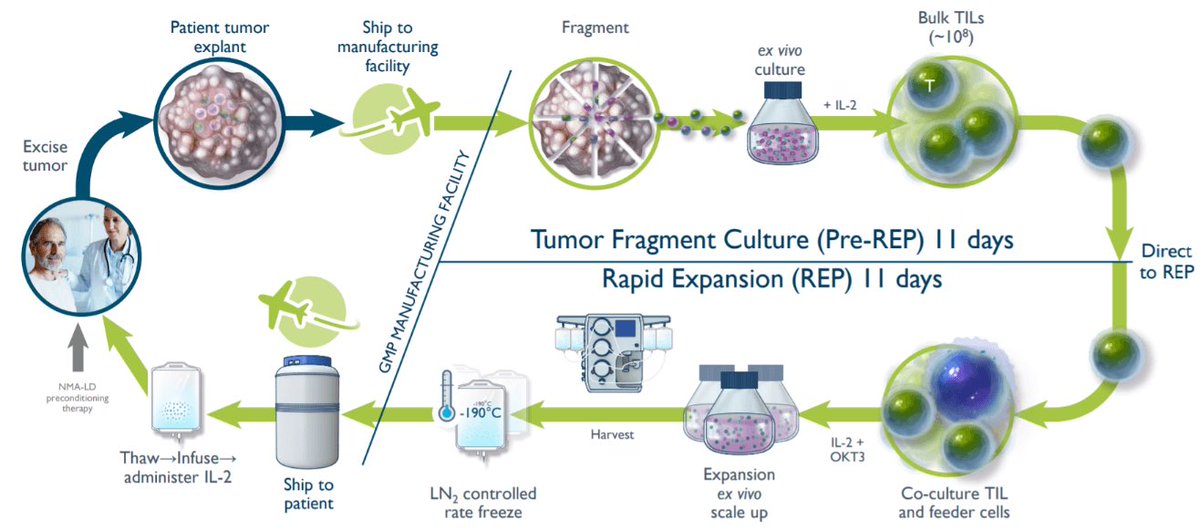 Ve ilk TIL kanser terapisi bu hafta FDA onayı aldı. Gen ve hücre tedavisinde gelişmeler son hız devam. Açıklıyorum👇
👉TIL tedavisi nedir? Tumor Infiltrating Lymphocytes, yani tümörlere sızan lenfositler, ilk defa Steven Rosenberg tarafından 1986 senesinde tanımlandı bu yayında: