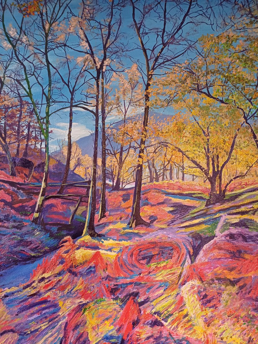 Recent work <a href="/NLightsGallery/">Northern Lights Gallery</a>  #Keswick #cumbria #borrowdale #ancientwoodlands