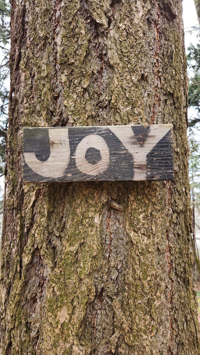 pewilliamson915's tweet image. #monkeyshines2024 #goingrogue