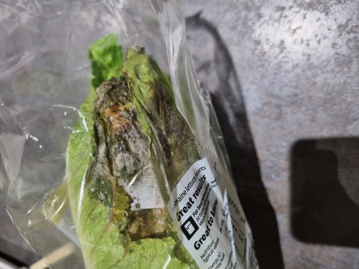 Tracy Stephens tweet media