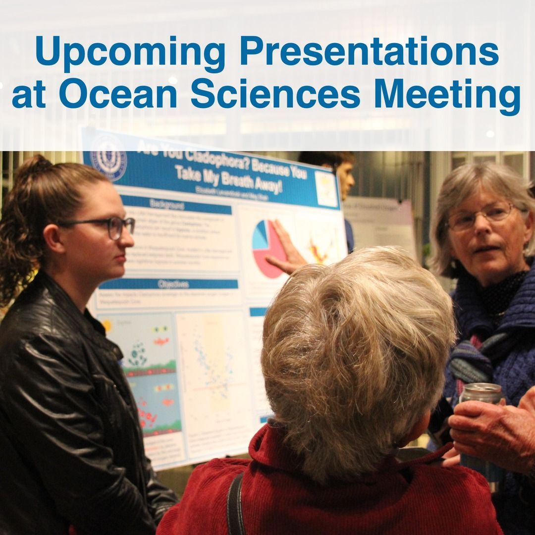 UConnMarineSci's tweet image. Are you ready for the Ocean Sciences Meeting (#OSM24)? Add the presentations by our department members to your schedule and visit us at booth 334 in the exhibit hall all week! 

Here are the presentations on Mon-Wed!