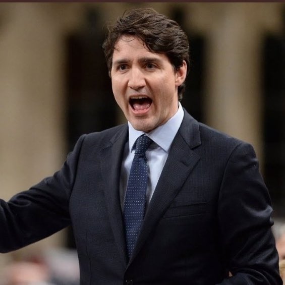 Concern70732755's tweet photo. The court ruled against him ! We the people won this epic battle and we are prepared to ensure this never happens again by handing Trudeau a resounding &amp; justifiable defeat in the next election !

Who’s with me ? https://t.co/VPizPDz0P5