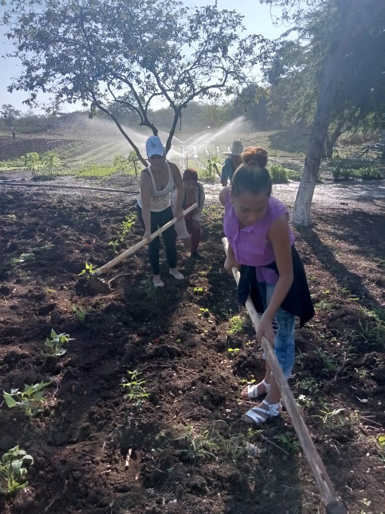 Siempre a la vanguardia, por una mejor alimentación, nuestros estudiantes y profesores en el huerto la Confianza .<a href="/ricardo_quiala/">Lic. Ricardo Quiala Torres</a> <a href="/dme_mella/">dge mella</a> <a href="/dpestgo/">DGE Santiago de Cuba</a>