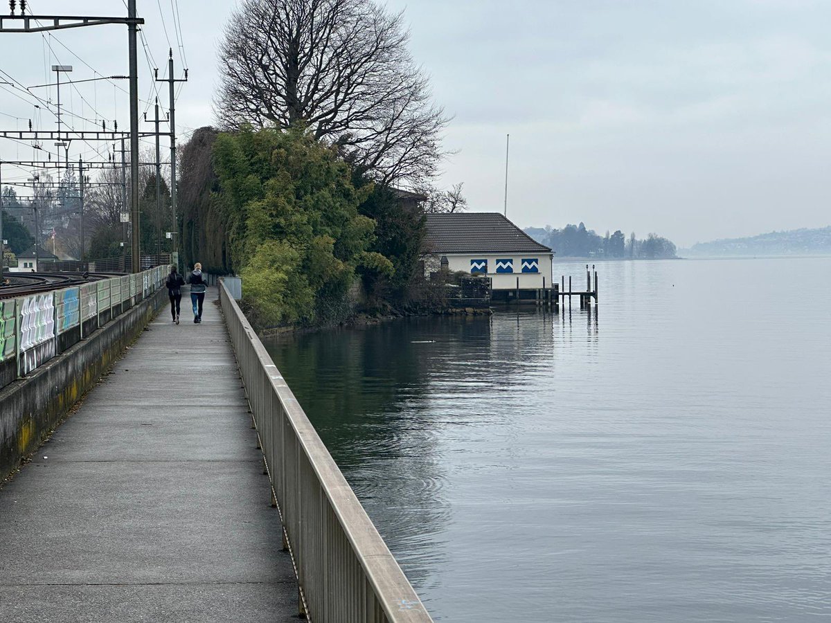 UferiniNein's tweet photo. In Wädenswil gibt es ein Eisfeld für die Bevölkerung direkt am See. Bilder sind aus Horgen, Wädenswil und Au. Bereits heute gibt es viele öffentliche Zugänge zum See- die teure Uferinitiative braucht es nicht.
#Züriseegnüsse
#Uferinitiativenein https://t.co/wtWMQcy5Zu