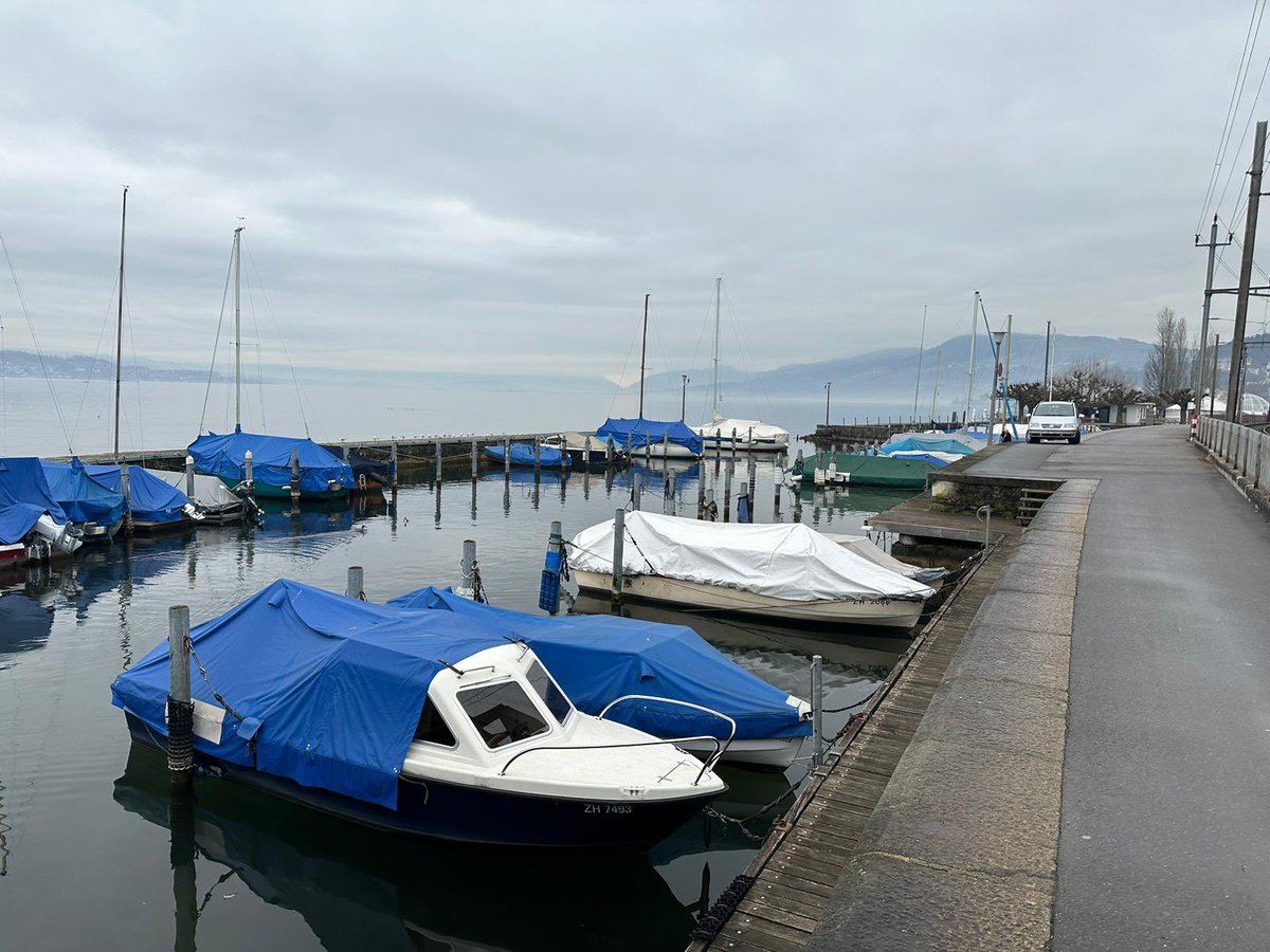UferiniNein's tweet photo. In Wädenswil gibt es ein Eisfeld für die Bevölkerung direkt am See. Bilder sind aus Horgen, Wädenswil und Au. Bereits heute gibt es viele öffentliche Zugänge zum See- die teure Uferinitiative braucht es nicht.
#Züriseegnüsse
#Uferinitiativenein https://t.co/wtWMQcy5Zu