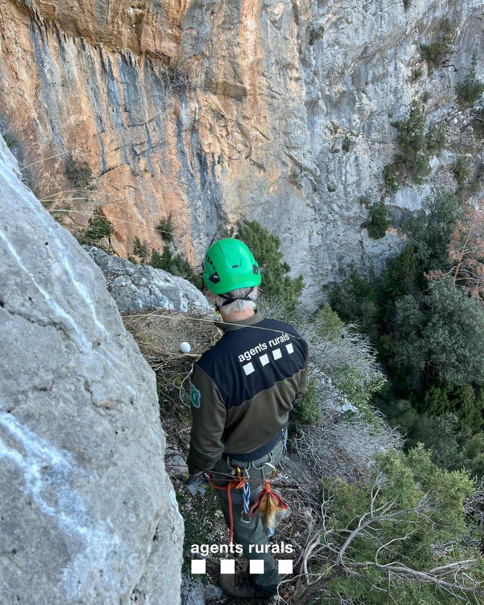 Agents Rurals tweet media