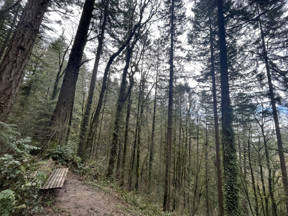 jonathan_ziemba's tweet photo. Love this bench on the Marquam Trail https://t.co/p214UL6S2y