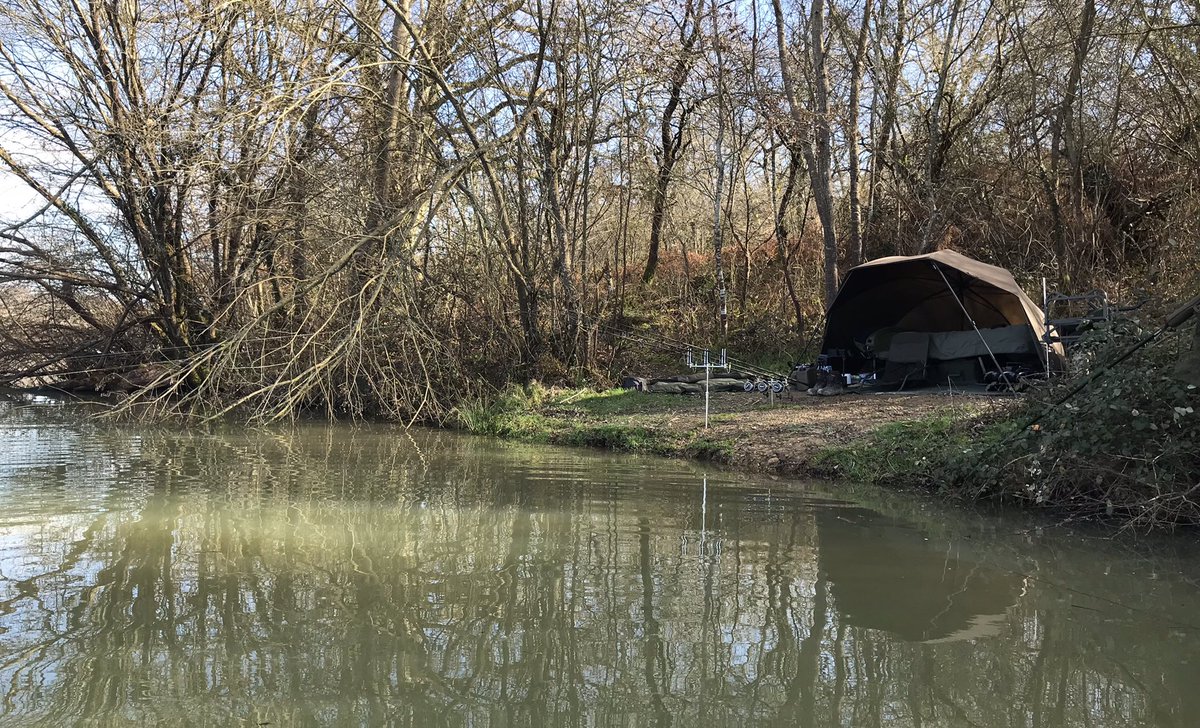 carpysteve1's tweet photo. Rods out π£ and itβs looking good for a bite,fingers crossed that a big gal is hungry π³ππ½π
#bigladinfrance
#bigcarpculture
#hoboarmour https://t.co/bG7h1lrhpL