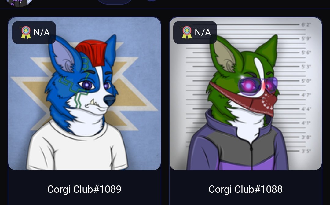 Mrsmetalcrazy22's tweet image. Just a few of my amazing Corgis I absolutely love the innovation that&apos;s being built over here and the discounts and perks of holding them is off the hook. So glad I got my 5 Corgis for maximum discounts #corgistudios