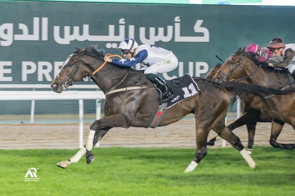 Nibras Passion lands his first Stakes race when taking the Listed HH The President Cup at Abu Dhabi 🇦🇪. Sold @Tattersalls1766 for £22k Another stakes winner for WMS #whattonwinners