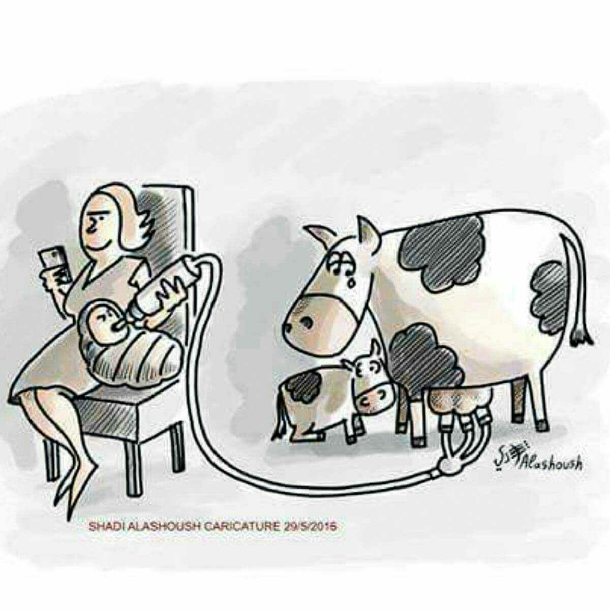 Dairy is the destruction of motherhood 💔

#FebruDairy