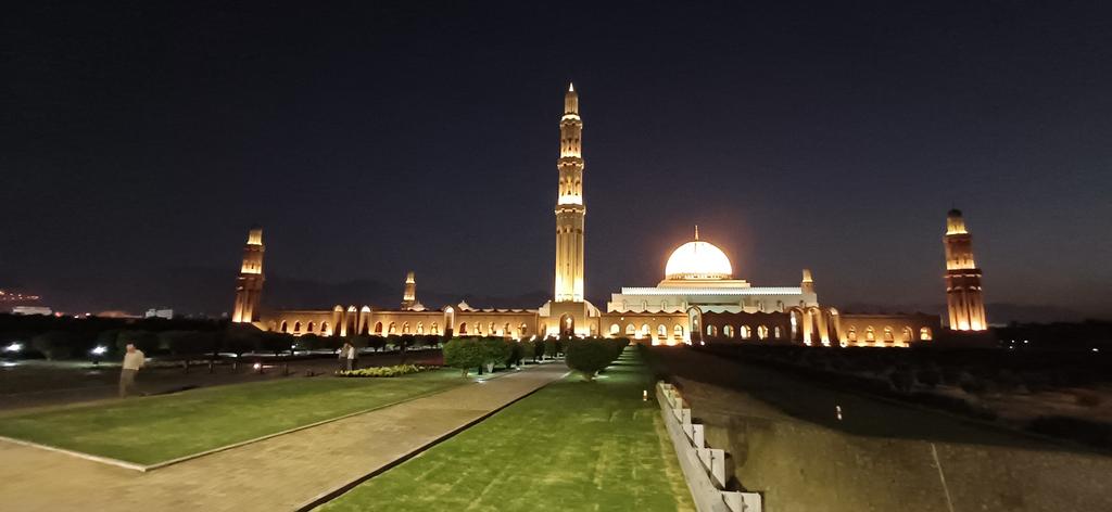 Another great day around Muscat (Oman) with @naturetrektours. Daurian Shrike a highlight, plus Indian Pond Heron, Temminck's Stint and many other waterbirds, Hume's and Red-tailex Wheatears. And the Sultan Qaboos Mosque at dusk.