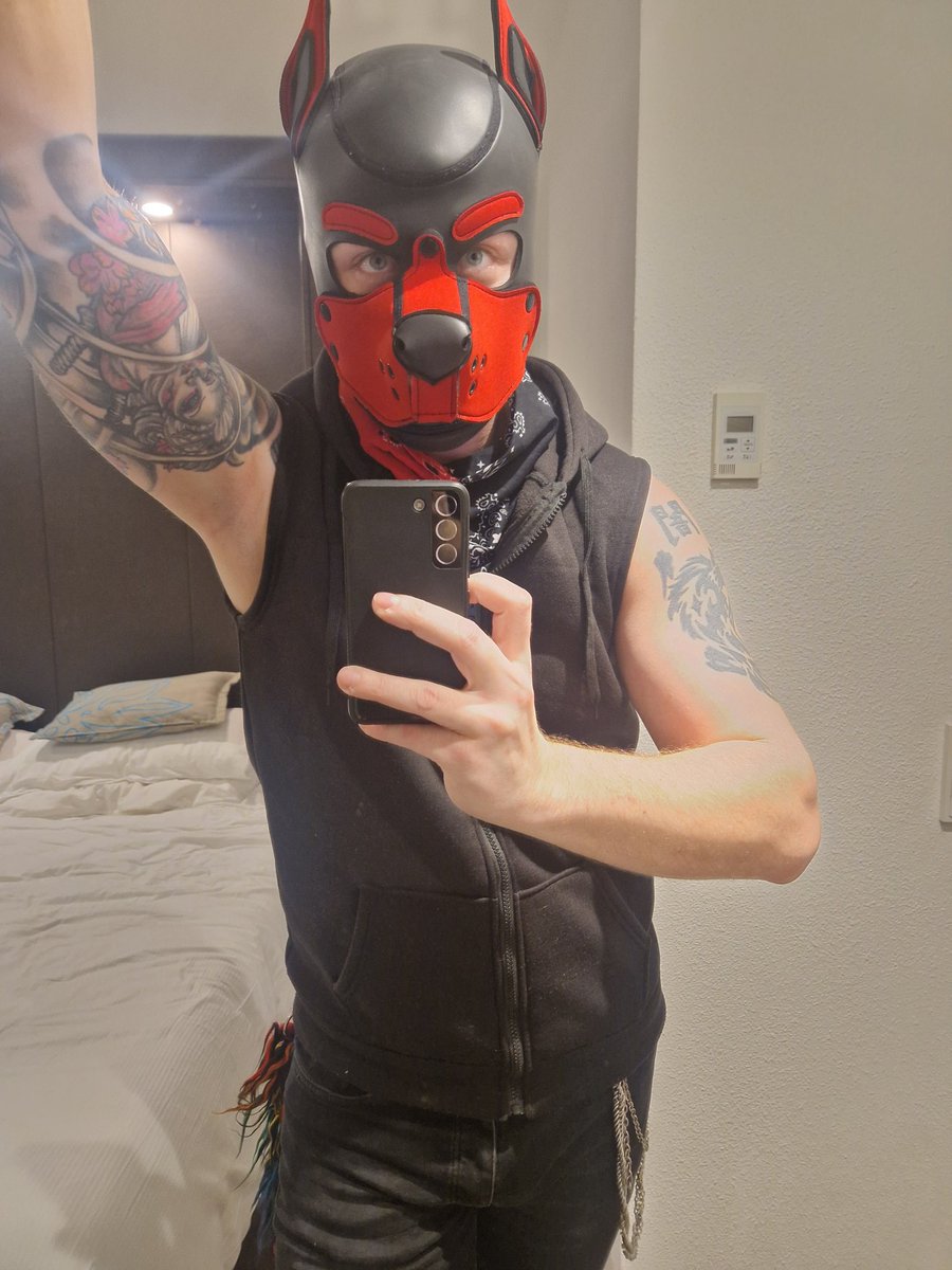 Oh yeah Animalz. Come say hi. :3