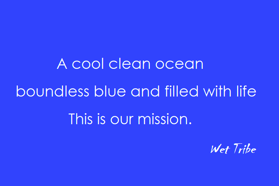 A cool clean ocean, boundless blue and filled with life, this is our mission. #WetTribe #TidetotheOcean #Mission #Haiku #ClimateCrisis #OceanWarming #OceanAcidification #OceanPollution #Biodiversity