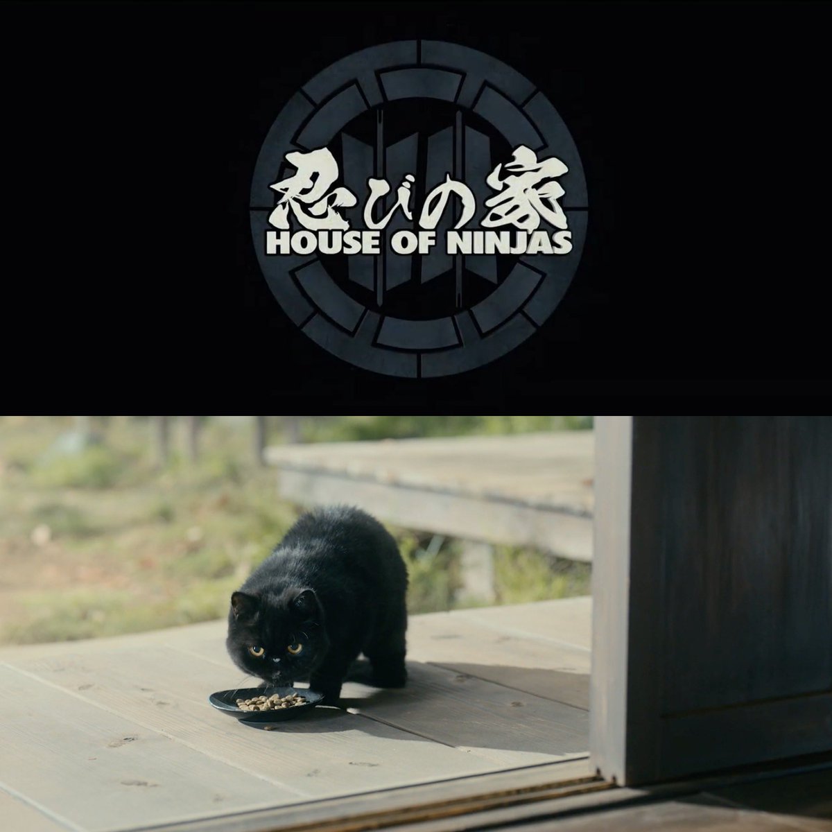 Congrats #HouseOfNinjas on <a href="/netflix/">Netflix</a> #2 Worldwide!  Hanzo the black cat 🐈‍⬛ ninja family member is everything!   Our #catdaddies producer Dave Boyle made it happen!