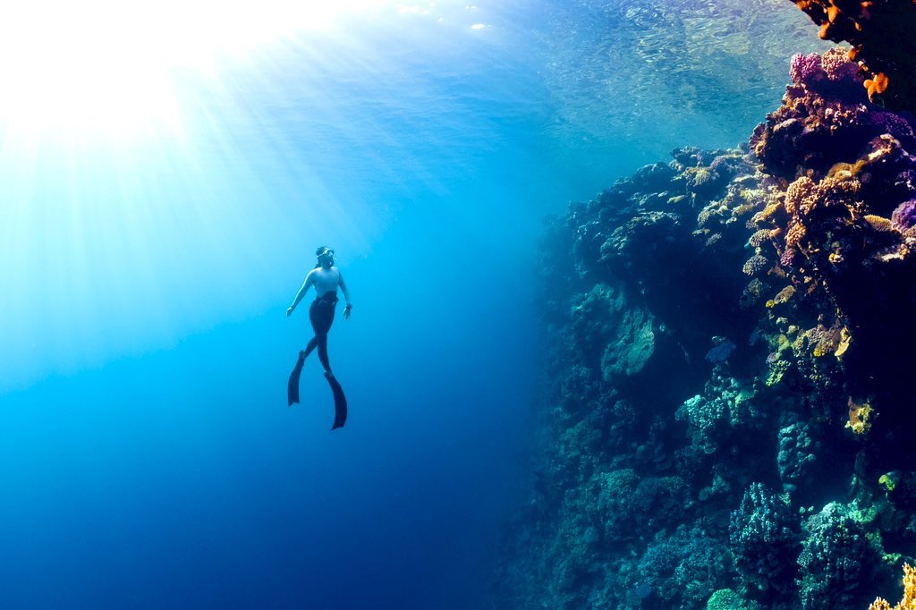 BonViveurMag's tweet photo. The ocean holds 97% of the world’s water and supports 90% of the biosphere. It’s vital for life, climate change mitigation, oxygen production, food, and economic opportunities. Only 5% of the ocean has been explored, with deep regions remaining undiscovered. #BonViveurTravel https://t.co/5qExxS2dXC