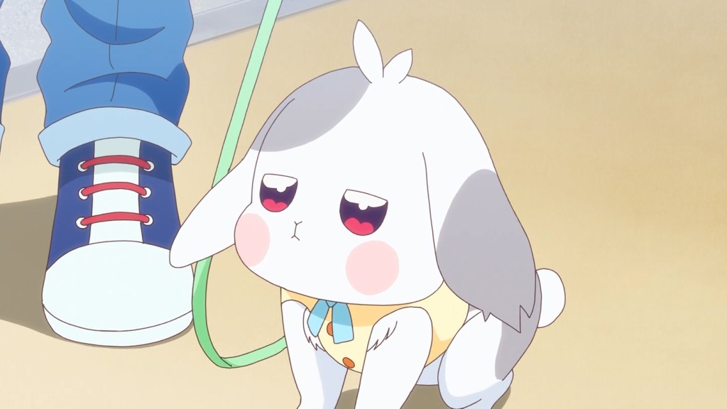 大福ちゃんかわいい #precure