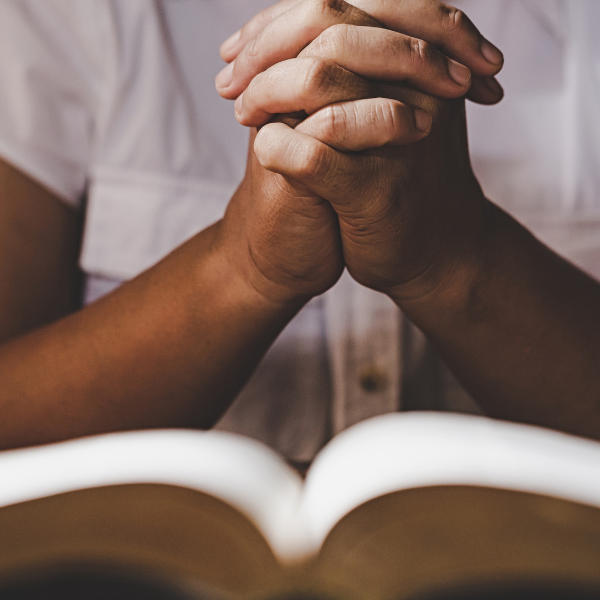 SCMidlandsFCA's tweet photo. So much heartache and sickness going around, bring it to Him ...GOD IS ABLE!!!
“In the morning, LORD, you hear my voice; in the morning I lay my requests before you and wait expectantly.” Psalms 5:3
#MidlandsFCA #PrayerWorks #HowCanWePrayForYou https://t.co/ho6g5YF0IO