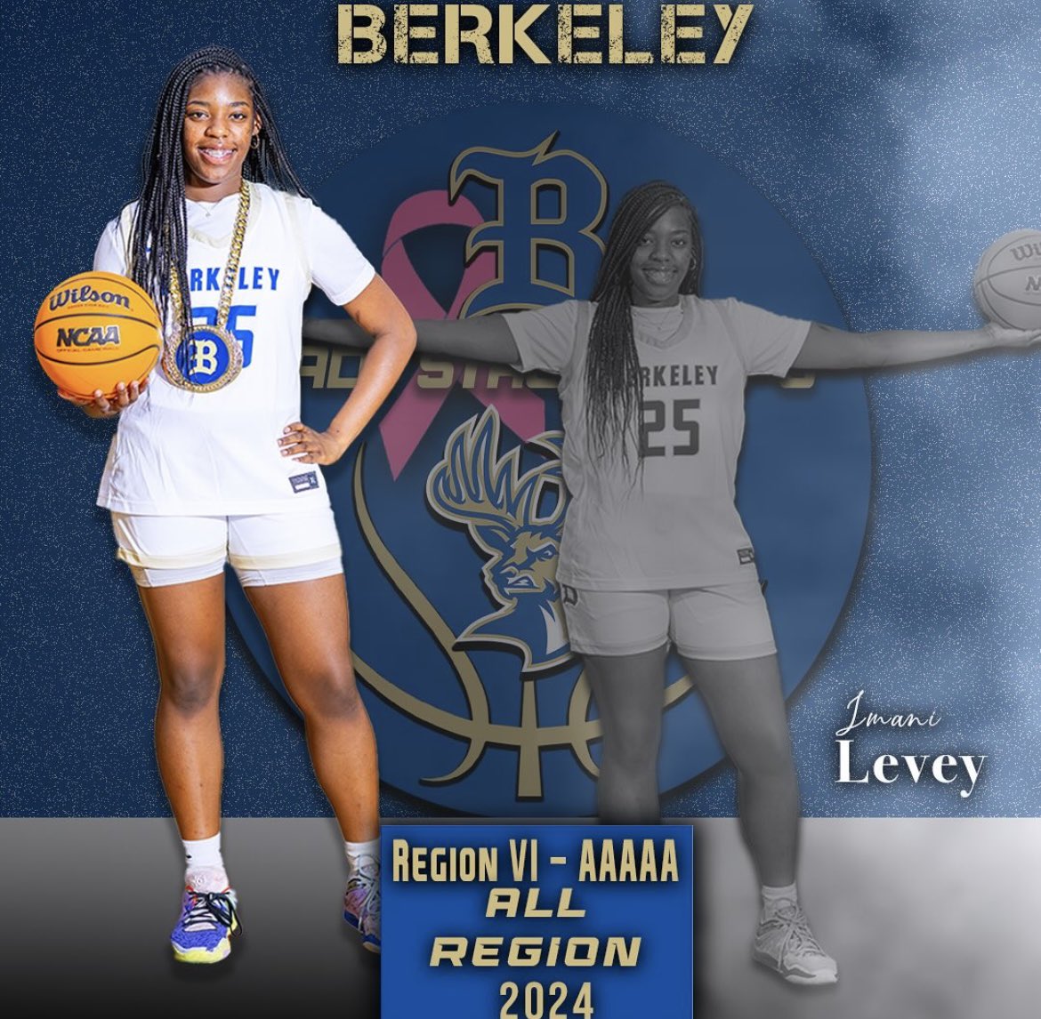 Congrats to my teammates for their All Region Honors ‼️💙💛🤍🏀💪🏾🦌 🚨@ladystagshoops @Mani_beballin25 @AJMcCray_ #BetteratBerkeley #BetterTogether