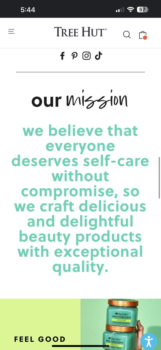iaz621's tweet photo. Tree Hut’s mission statement is an excellent example to describe their product and there values within the company. I love how there statement stood out on their website in an eye-catching color and how they want all there customers to have self care. #APR333 @BamaAPR https://t.co/ONWVa4CkFW