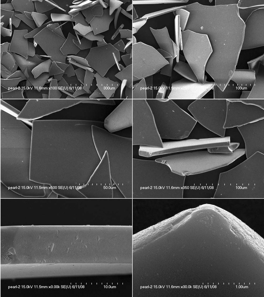 James Kerfoot tweet media