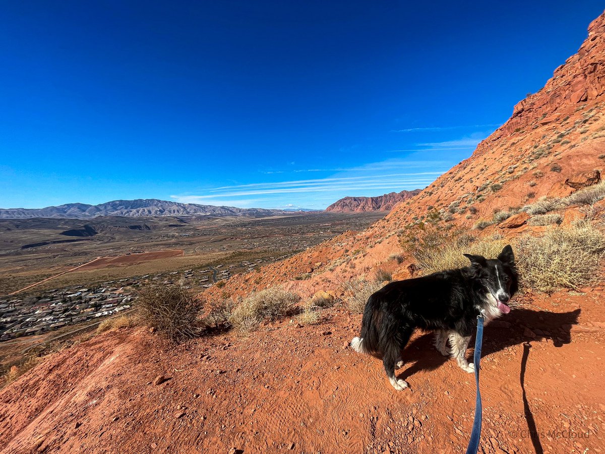 Starting up the Red Mountain Route toward the Red Mountain Wilderness in southwest Utah. Gracie accompanied me on this adventure. #beUtahful #wilderness #travelblogger #ParkChat #AdventureAwaits #hiking #publiclands #utahhiking #FindYourPark #utahisrad #utahphotographer