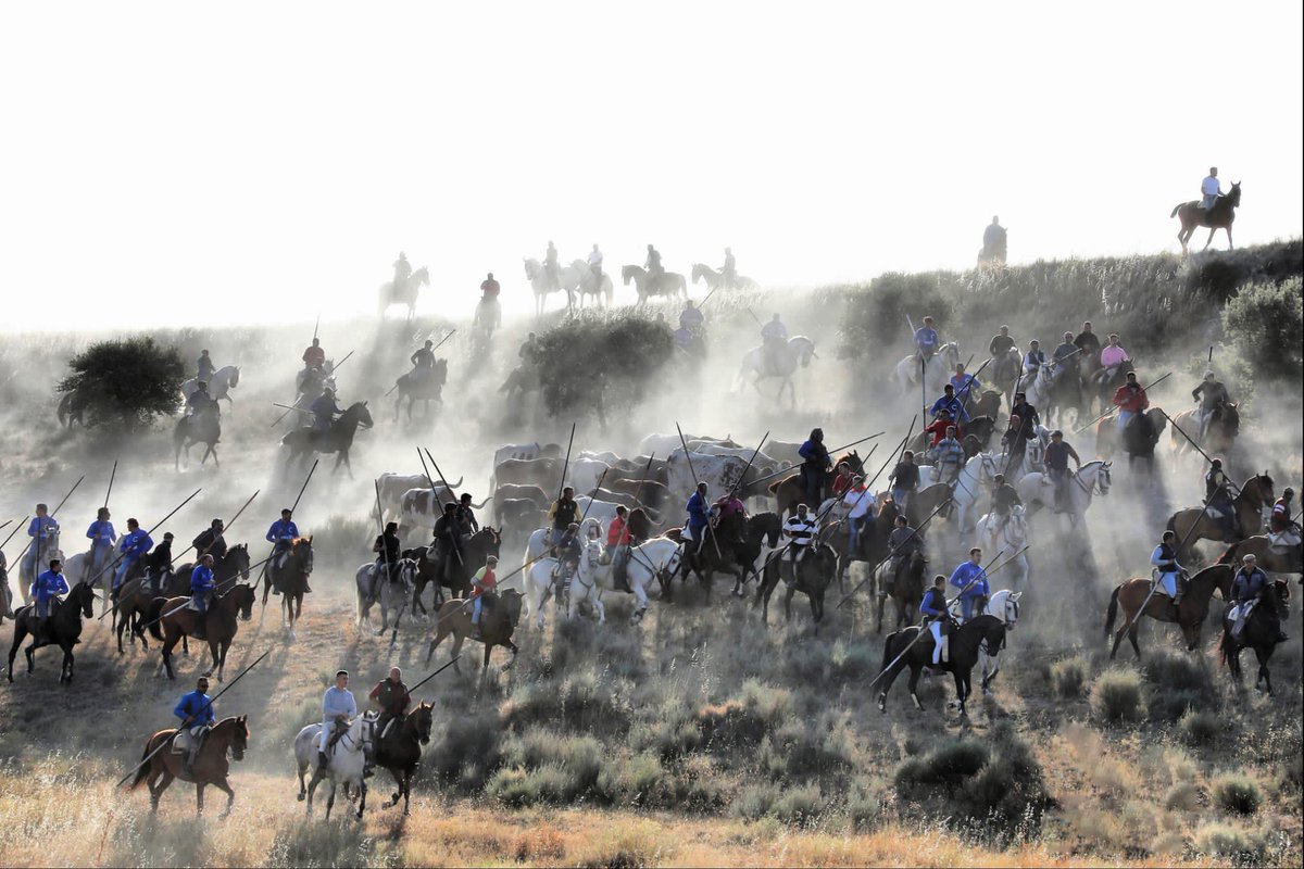 “GANADORES DEL CONCURSO FOTOGRÁFICO DE ACARTE 2023”
   
   Segundo premio a la mejor fotografía:

   -Título: “Arropados”
   -Lugar: “Cuéllar”(Segovia) 
   -Autor: Juan Carlos Rebollo Herrera