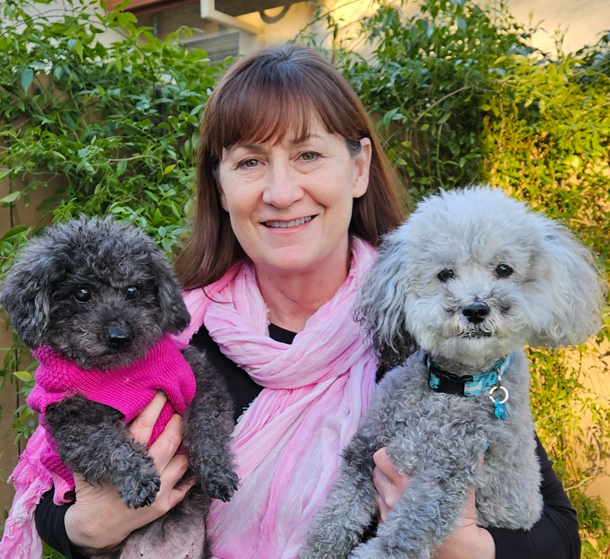 CDMSmith's tweet image. 🌱 In commemoration of Dr. King, CDM Smith employees headed to their local communities to celebrate his legacy and showed us how they give back throughout January - fostering dogs and creek and trail cleanups! 🐶🌊 #MLKDay2024 #MoreThanWork