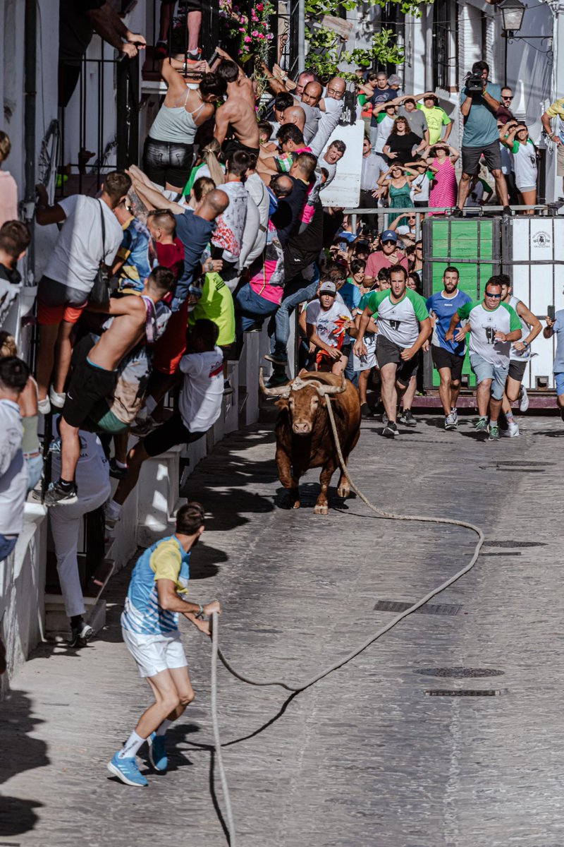 “GANADORES DEL CONCURSO FOTOGRÁFICO DE ACARTE 2023”

Premio especial a la obra que más fomenta el festejo popular:

    -Título: “Lunes de Cuerda”
    -Lugar: “Grazalema”(Cádiz)
    -Autor: Emilio José Barea