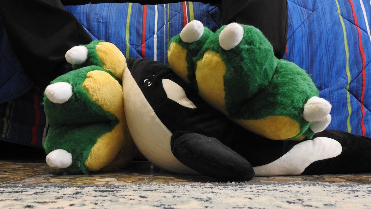 Recently I'm doing some 'draw > photo' with my fursuit, this time I would make a 'photo > draw'... I just need an orca to squeeze under my feet, maybe @Aaalex_Orca or @xoddiel... who know >:3 #paweveryday #pawseveryday