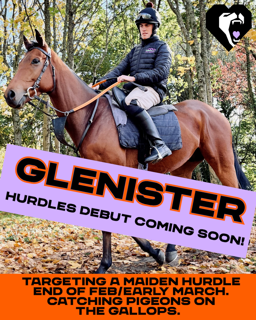 roarprideracing's tweet photo. Own a share in a proven winner and join a family run syndicate that promises great days out, community, excitement and laughs. Interested? Come to our stable visit @tobylawesracing yard next Saturday to meet us, Toby and Glenister. Email james@roarpride.com for more info https://t.co/QSuFteMe4t