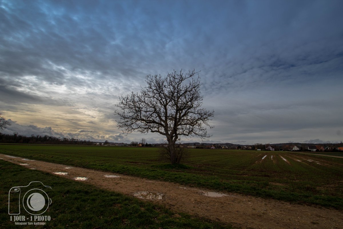 1jour1photo_68's tweet photo. #habsheim #alsace #nature #baladenature #1day1shot #1day1pic #1day1photo #1jour1photo #streetphotographie #photographienature #photography #naturephotographie #photographies #photographier #photographer #canon1300d #canoneos1300d #sunrise #village #hiver #leverdesoleil https://t.co/fVlBbyWqZ7