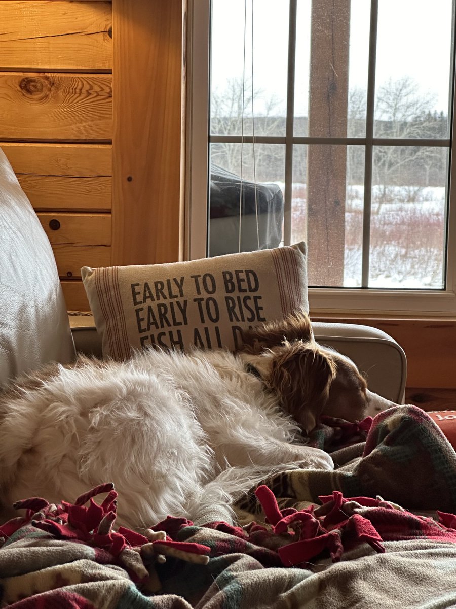 Faith Matchett tweet media