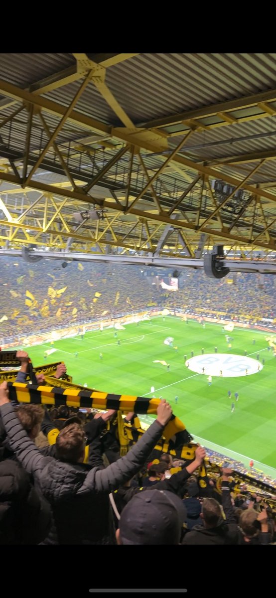 Nathan Flanders tweet media