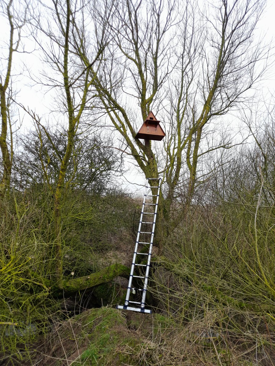 Our new ladder courtesy of @SoundApproachUK the boy is taller than me now!